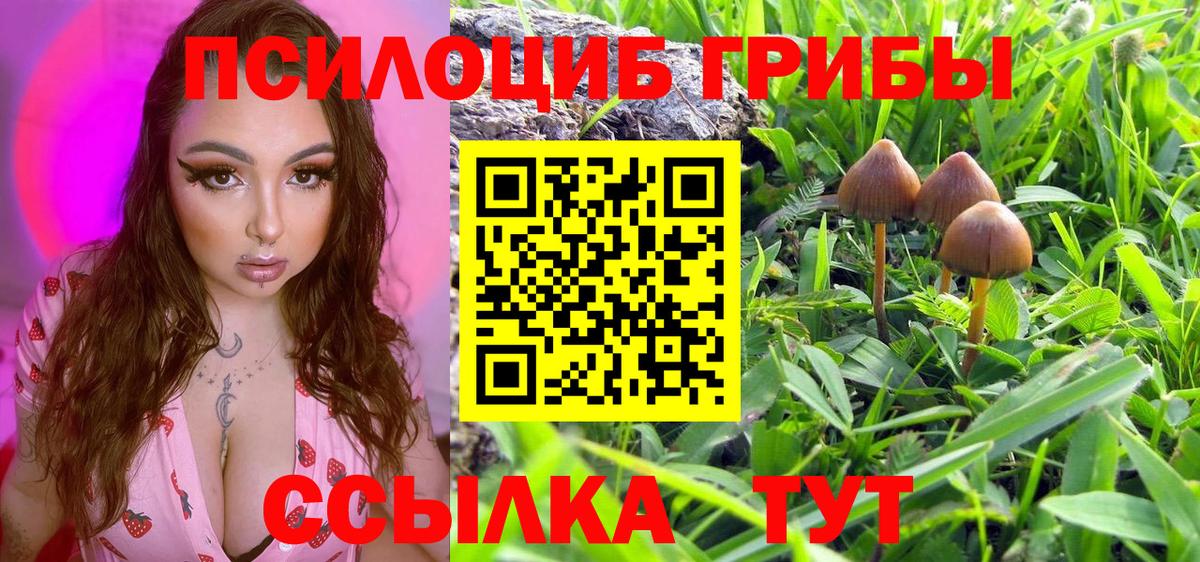Дмитров  Псилоцибиновые грибы GOLDEN TEACHER  Вход с VPN 