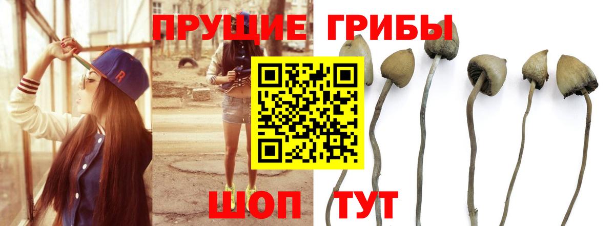 Галлюциногенные грибы ЛСД Дмитров